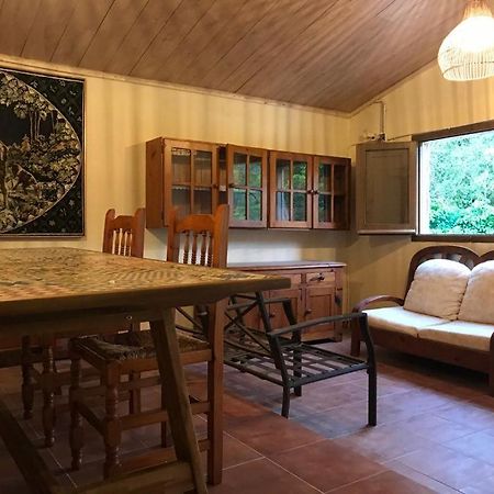 Els Avets De La Muga Bed and Breakfast Sant Llorenc de la Muga Εξωτερικό φωτογραφία