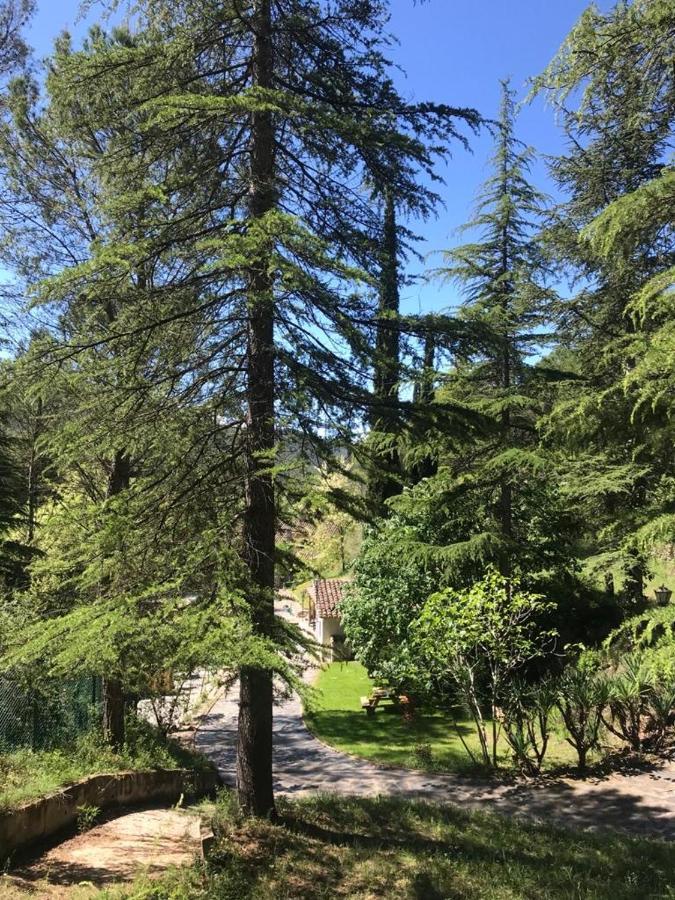 Els Avets De La Muga Bed and Breakfast Sant Llorenc de la Muga Εξωτερικό φωτογραφία