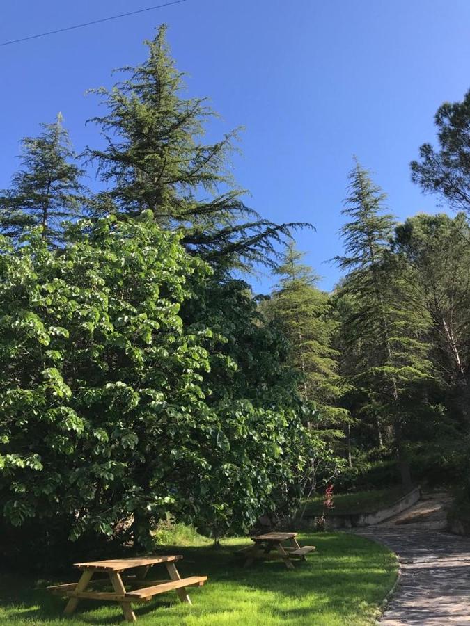 Els Avets De La Muga Bed and Breakfast Sant Llorenc de la Muga Εξωτερικό φωτογραφία